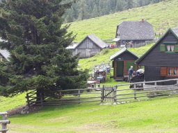 2019-Goericher Alm (18)